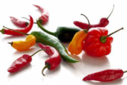 Texas State Pepper: Jalapeno