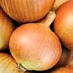 Utah State Vegetable : Spanish Sweet Onion