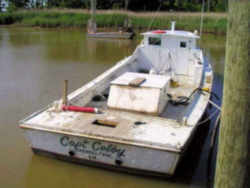 Virginia State Boat: Chesapeake Bay Deadrise