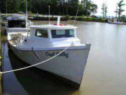 Virginia State Boat: Chesapeake Bay Deadrise