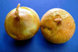 Washington State Vegetable: Walla Walla Sweet Onion
