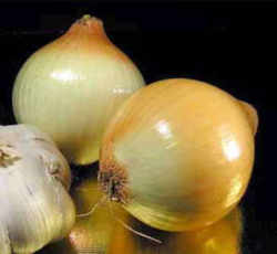 Washington State Vegetable: Walla Walla Sweet Onion