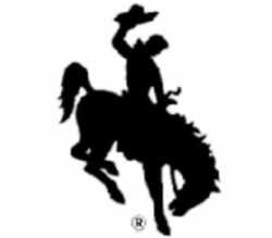Wyoming State Bucking Horse and Rider